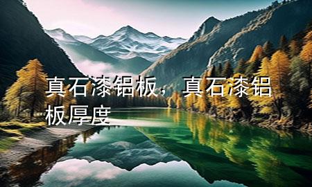 真石漆鋁板<div   id=