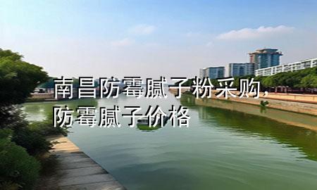 南昌防霉膩?zhàn)臃鄄少?gòu)，防霉膩?zhàn)觾r(jià)格