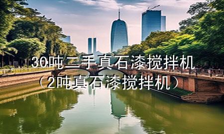 30噸二手真石漆攪拌機（2噸真石漆攪拌機）