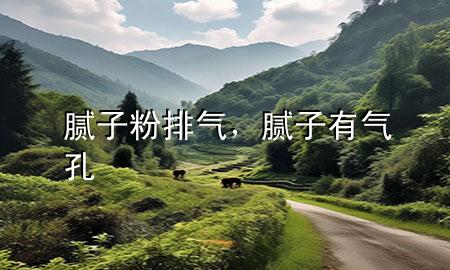 膩子粉排氣，膩子有氣孔