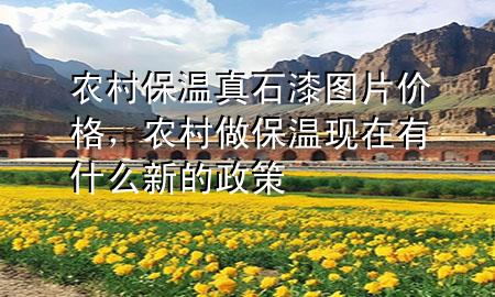 農(nóng)村保溫真石漆圖片價格<div   id=
