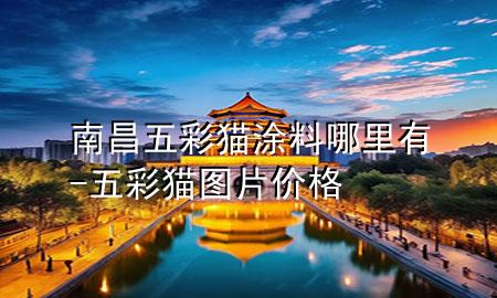 南昌五彩貓涂料哪里有-五彩貓圖片價(jià)格