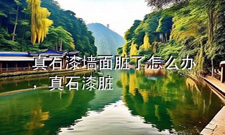 真石漆墻面臟了怎么辦<div   id=