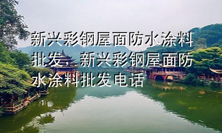 新興彩鋼屋面防水涂料批發(fā)<div   id=