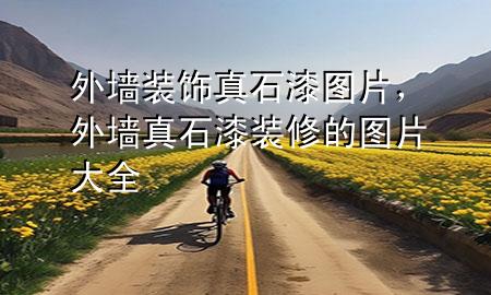 外墻裝飾真石漆圖片<div   id=