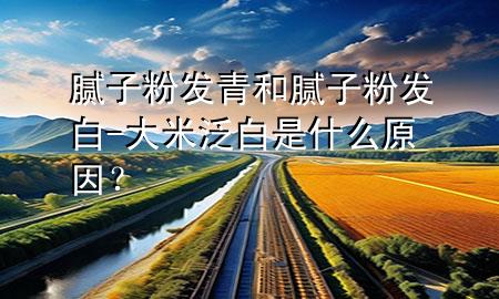 膩?zhàn)臃郯l(fā)青和膩?zhàn)臃郯l(fā)白-大米泛白是什么原因？