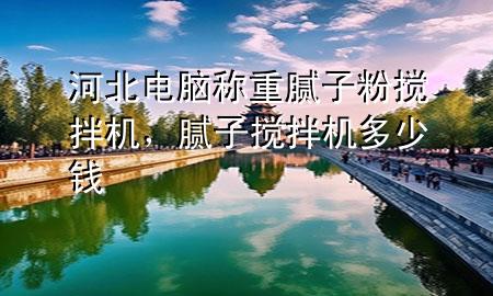 河北電腦稱重膩?zhàn)臃蹟嚢铏C(jī)，膩?zhàn)訑嚢铏C(jī)多少錢