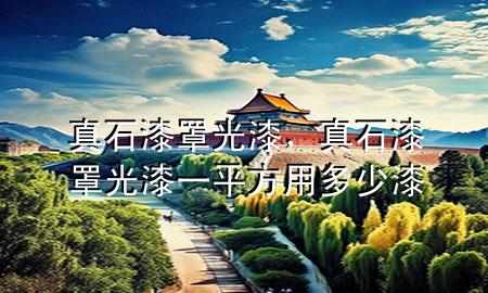 真石漆罩光漆<div   id=