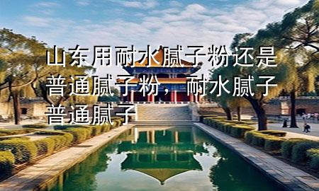 山東用耐水膩?zhàn)臃圻€是普通膩?zhàn)臃?div   id=