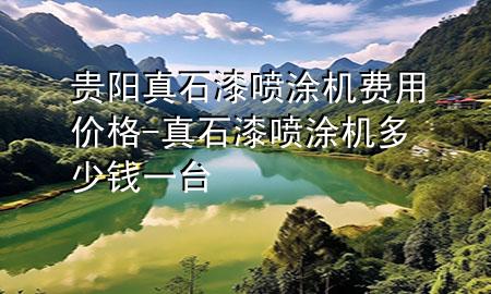 貴陽(yáng)真石漆噴涂機(jī)費(fèi)用價(jià)格-真石漆噴涂機(jī)多少錢一臺(tái)