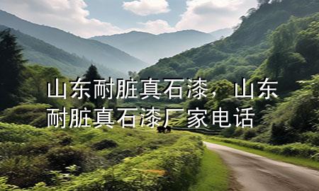 山東耐臟真石漆<div   id=