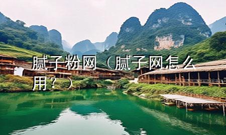 膩子粉 網(wǎng)（膩子網(wǎng)怎么用？）