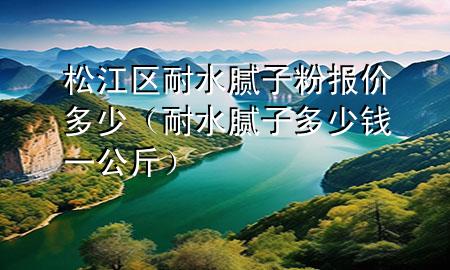 松江區(qū)耐水膩?zhàn)臃蹐?bào)價(jià)多少（耐水膩?zhàn)佣嗌馘X一公斤）