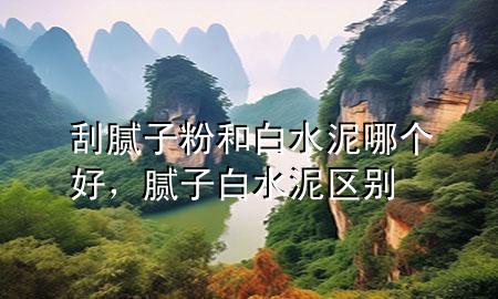 刮膩?zhàn)臃酆桶姿嗄膫€(gè)好，膩?zhàn)影姿鄥^(qū)別