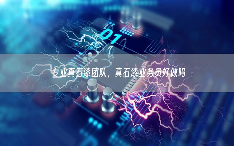 專業(yè)真石漆團隊<div   id=
